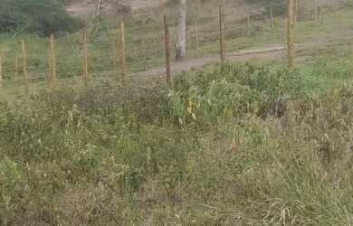 Imagem: O terreno possui 2.000m² de Área e está localizado em Tomba