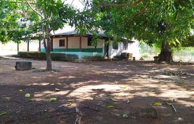 Imagem: A fazenda possui 100m² de Área e está localizado em Porto