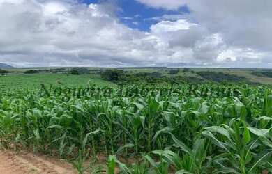 Imagem 5: Fazenda com 129 alqueires em Bofete - SP Nogueira Imóveis Rurais