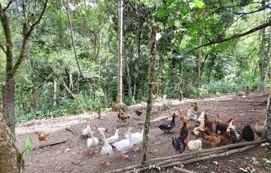 Imagem 12: Venda. 112.000m² de Área