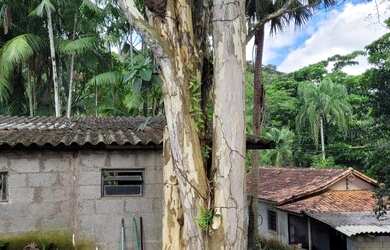 Imagem 3: Venda. 112.000m² de Área