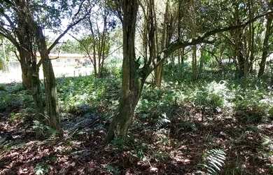 Imagem 2: Terreno Em rua à Venda, 427m² - Bairro Cajueiros Itaipuaçu em Maricá