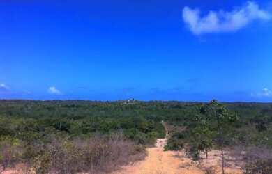 Imagem: A fazenda possui 8.724.440m² de Área e está localizado em