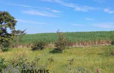 Imagem 4: Ótima Fazenda entre Floreal e Nhandeara com 130 alqueires Cana / Pasto...