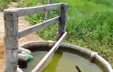 Imagem 7: Excelente fazenda dupla aptidão com 969 hectares à venda em Arinos -...