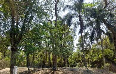 Imagem 5: Chácara 1200 metros. 1.200m² de Área