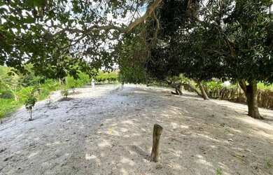 Imagem 9: Sítio estrada de GENIPABU VENDA OU TROCA