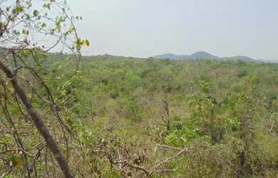 Imagem 5: Chacara em Jussara/GO. 52.423m² de Área