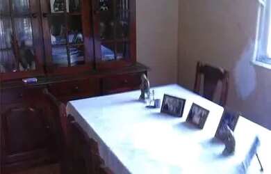 Imagem 16: Casa para Venda em São Gonçalo, Santa Catarina, 3 dormitórios, 1 banheiro,...