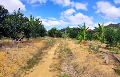 Imagem: A fazenda possui 100000m² de Área e está localizado em Paraju