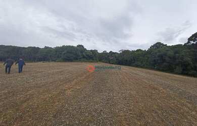 Imagem 3: Área à venda, 16 alqueires por R$ 2.000.000 - Zona Rural - Campina do...