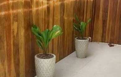 Imagem 14: Sobrado Alto da Boa Vista