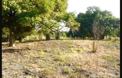 Imagem 8: Terreno 4.000 mts Sambaetiba/Itaboraí - 40 mts frente rodovia RJ 116