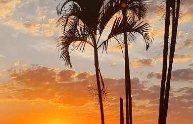 Imagem 12: Chácara para locação por temporada com 3 quartos em Mairiporã - SP