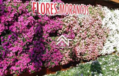 Imagem 8: Galpão/Depósito/Armazém e 3 banheiros para Alugar, 460 m² por R$ 13.800/Mês