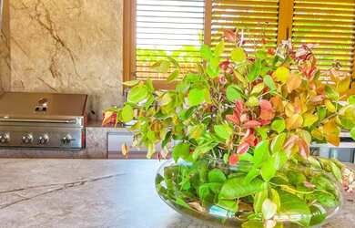 Imagem 9: CASA LOCAÇÃO DE TEMPORADA EM PRAIA DO FORTE COM 5 SUITES