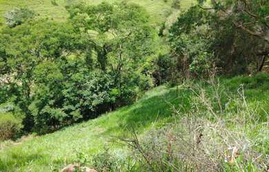 Imagem 6: Terreno 5x30 escritura e matrícula registrada em cartório