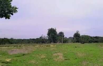 Imagem 14: Vende-se Propriedade Rural - AM-352, Km 42 - Novo Airão/AM