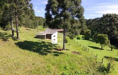 Imagem 11: Área rural com 67 ha, casas, açude e pinus