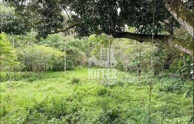 Imagem 8: Terreno à venda, 2091 m² por R$ 240.000,00 - Pendotiba - Niterói/RJ