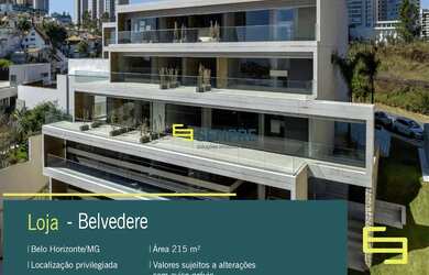 Imagem: O depósito possui 130m² de Área e está localizado em Belvedere