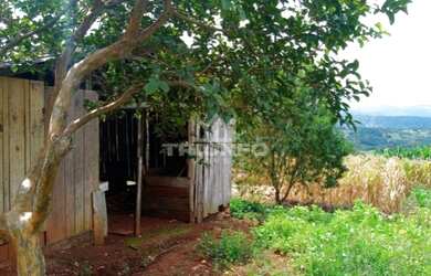 Imagem 15: Sítio Chácara com venda por R$259.000