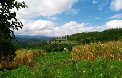 Imagem 14: Sítio Chácara com venda por R$259.000