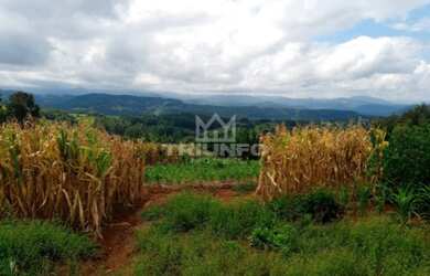 Imagem 6: Sítio Chácara com venda por R$259.000