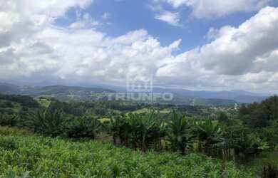 Imagem 1: Sítio Chácara com venda por R$259.000