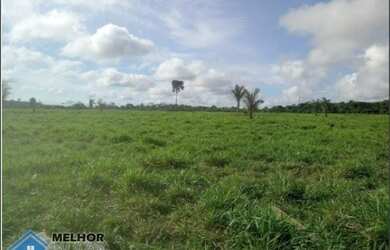 Imagem: A fazenda possui 100m² de Área e está localizado em Cujubim