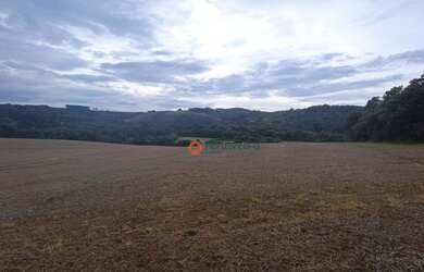 Imagem 1: Área à venda, 16 alqueires por R$ 2.000.000 - Zona Rural - Campina do...