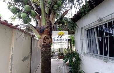 Imagem 6: Vende/Aluga Casa com 2 dormitórios, 150 m² - venda R$ 320.000 ou aluguel...