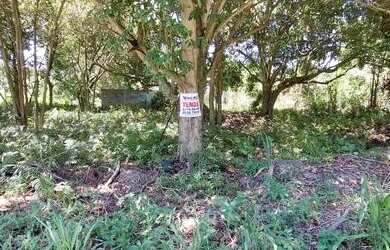 Imagem 6: Terreno Em rua à Venda, 427m² - Bairro Cajueiros Itaipuaçu em Maricá