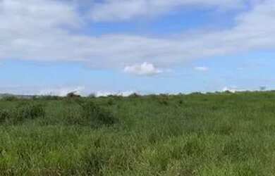 Imagem: A fazenda possui 394.000m² de Área e está localizado em