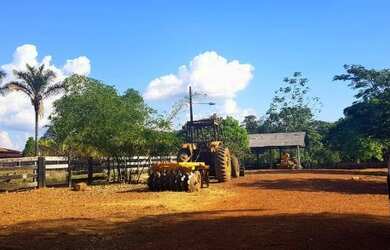 Imagem 6: Linda fazenda medindo 200 hectares, escriturada