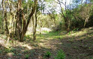 Imagem 4: Chácara 20.000 m² em Campo Magro