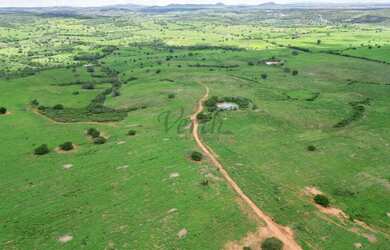 Imagem: A fazenda possui 172m² de Área e está localizado em Jeremoabo