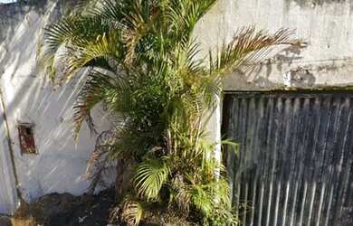 Imagem: O terreno possui 250m² de Área e está localizado em Morumbi