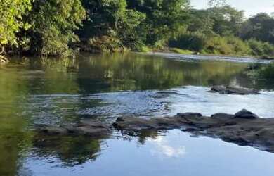 Imagem 4: Fazenda 180 hectares. 180m² de Área