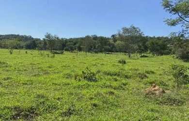 Imagem 12: Fazenda em Paracatu MG de 213 hectares com 70 hectares de área plana...