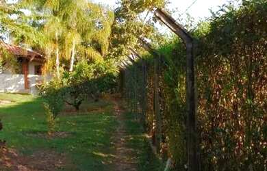 Imagem 15: Sítio, Região de Porto Feliz SP