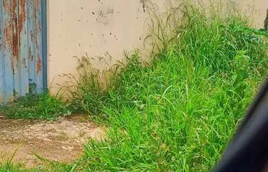 Imagem: O terreno possui 390m² de Área e está localizado em Jardim