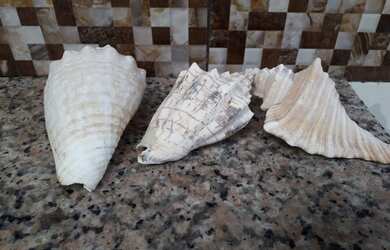 Imagem 11: CASA DE PRAIA 850 reais PROMOÇÃO sex a dom SEM.SANTA ALUGADA