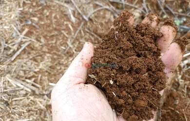 Imagem 9: Área à venda, 16 alqueires por R$ 2.000.000 - Zona Rural - Campina do...