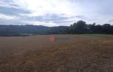 Imagem 5: Área à venda, 16 alqueires por R$ 2.000.000 - Zona Rural - Campina do...