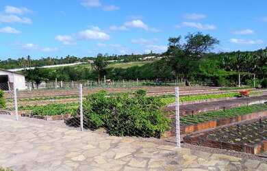 Imagem 1: Condomínio Fazenda real I/II, Lote/Terreno para venda possui 1.110 m2 em Zona Rural - Maca