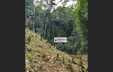 Imagem 4: Terreno à venda, 5400 m² por R$ 250.000,00 - Carlos Guinle - Teresópolis/RJ