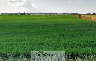 Imagem: O terreno possui 20.000m² de Área e está localizado em Centro