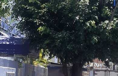 Imagem 3: Alugo casas na cidade nova