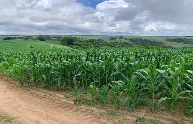 Imagem 3: Fazenda com 129 alqueires em Bofete - SP Nogueira Imóveis Rurais